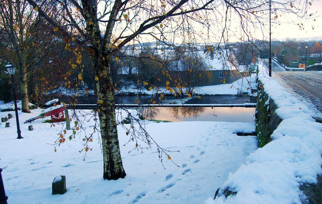 27 Aughrim Holidays Villa Eksteriør billede